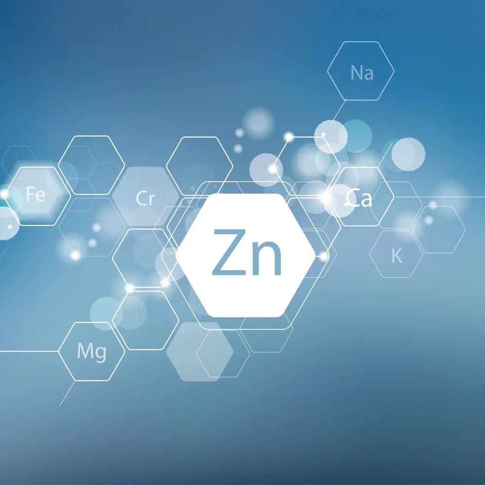 Männergesundheit - Die Rolle von Zink auf die Prostata - Sonnen-Vitamine