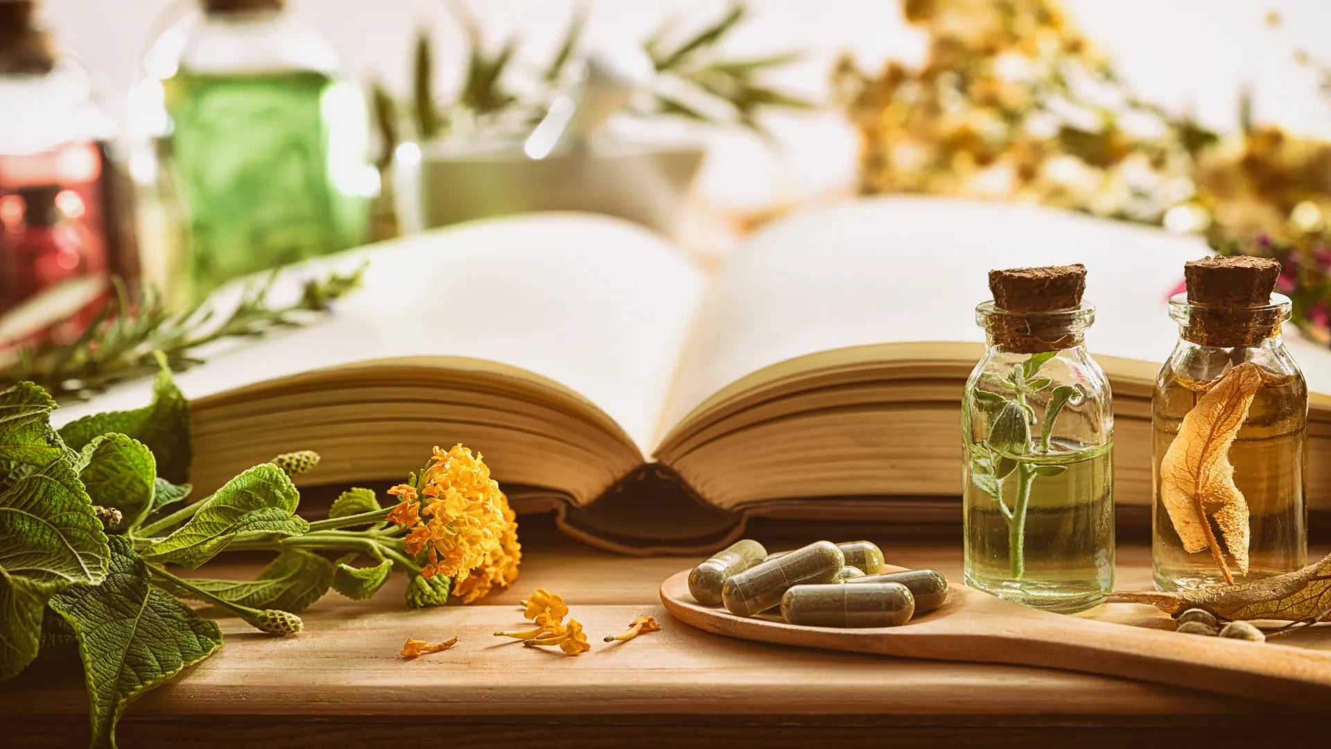 Pflanzliche Nahrungsergänzungsmittel